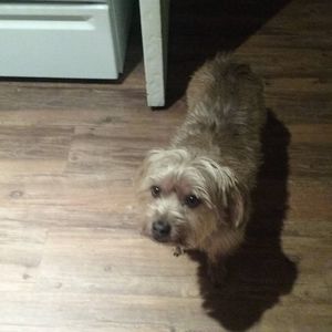 Meet your Posher, Donna